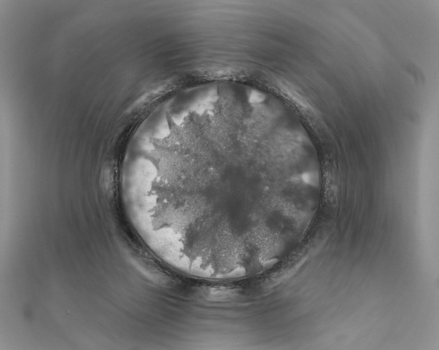 X0000111380165200908071242