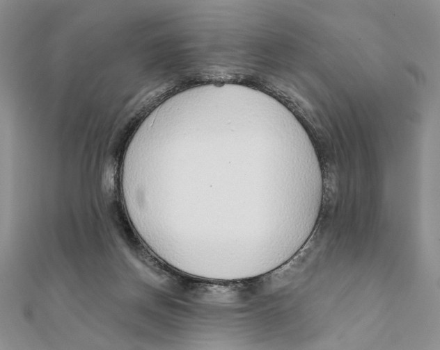 X0000111380166200908071242