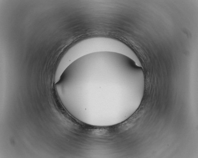 X0000111380168200908071242