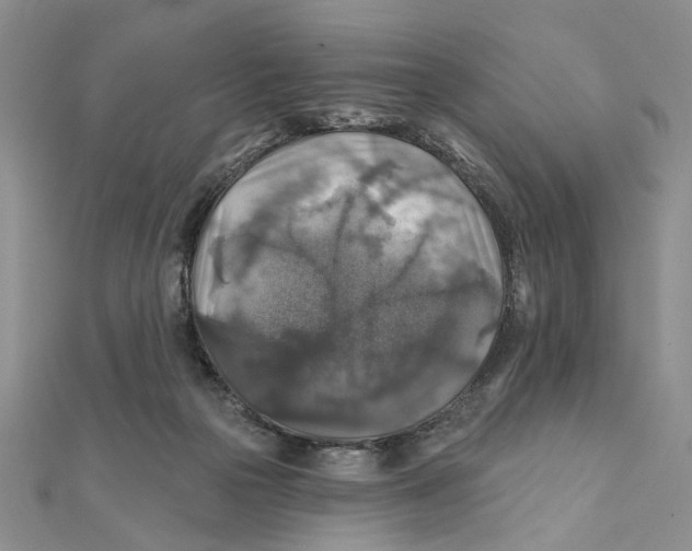 X0000111380169200908071242