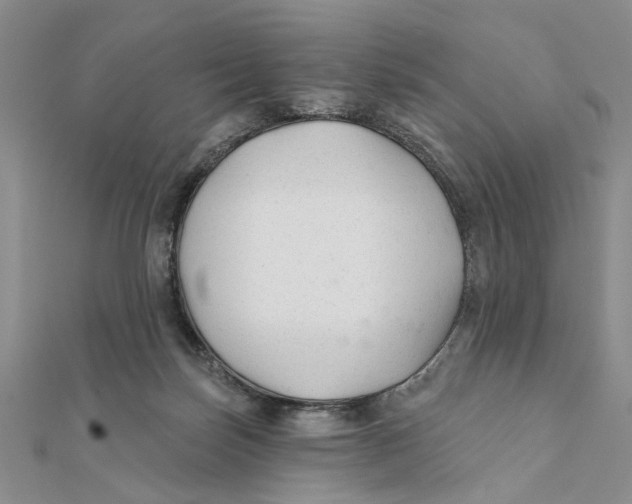 X0000111380171200908071242