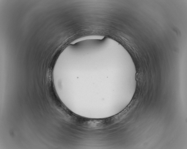 X0000111380172200908071242