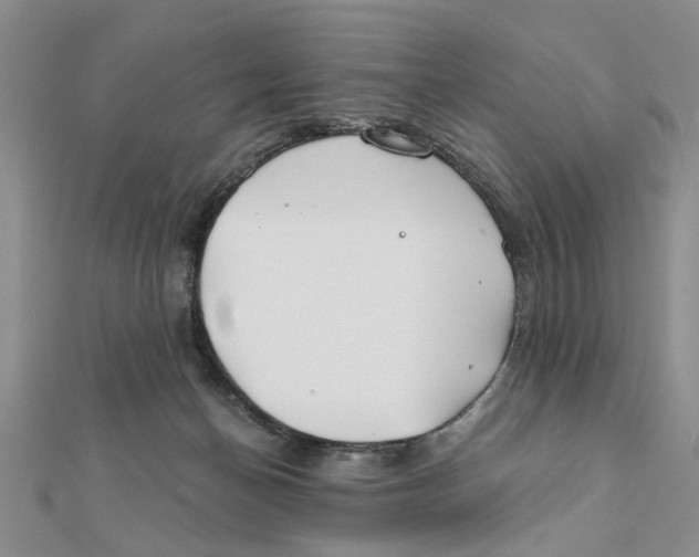 X0000111380174200908071242