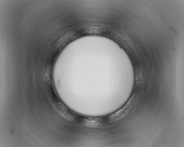 X0000111380175200908071242