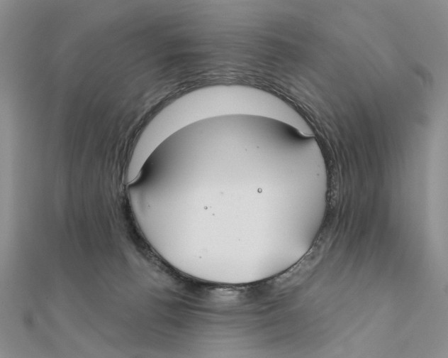 X0000111380176200908071242