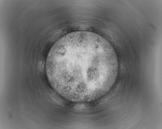 X0000111380177200908071242