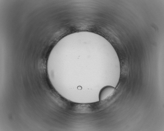 X0000111380179200908071242