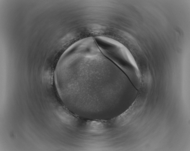 X0000111380180200908071242