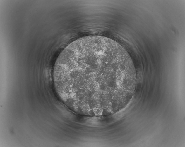 X0000111380182200908071242