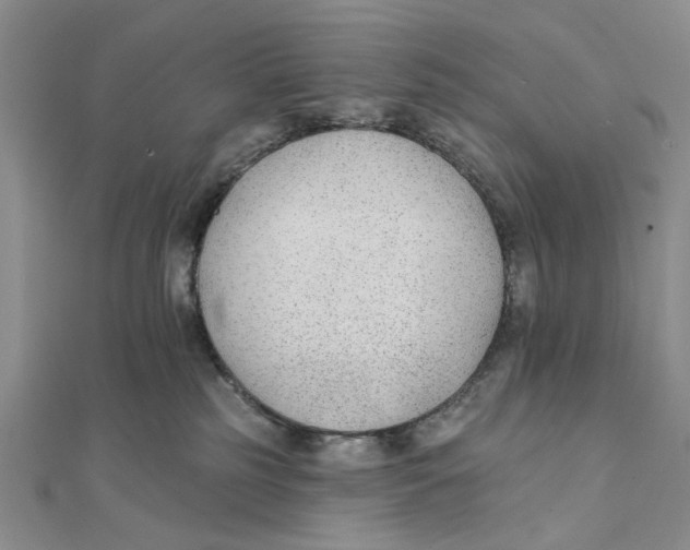 X0000111380185200908071242