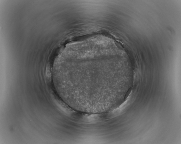 X0000111380186200908071242