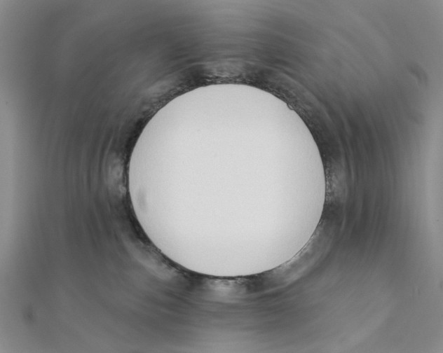 X0000111380187200908071242