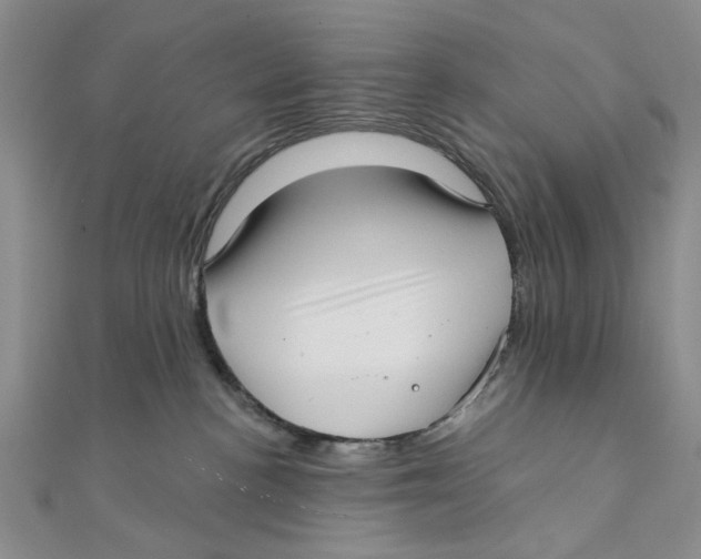 X0000111380188200908071242