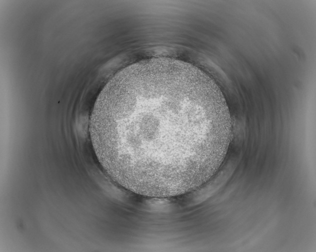 X0000111380189200908071242