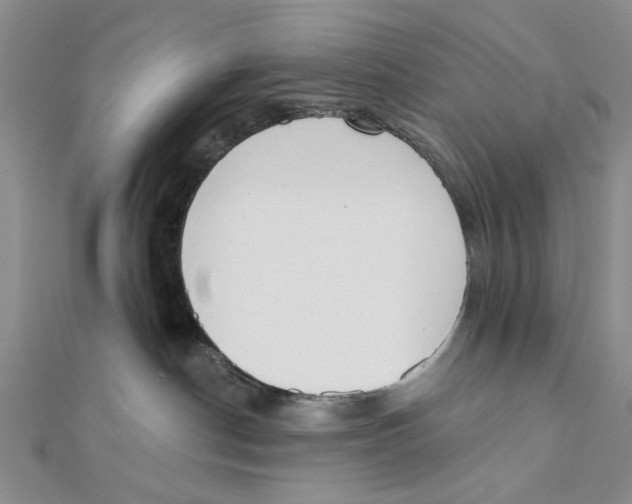 X0000111380190200908071242