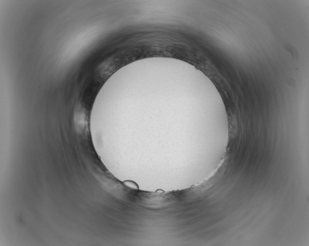 X0000111380191200908071242