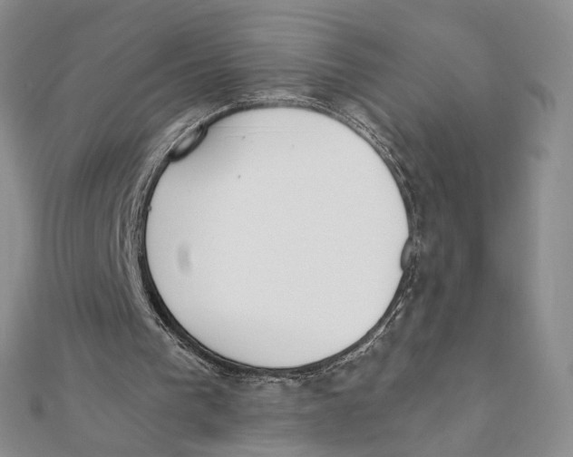 X0000111380193200908071242