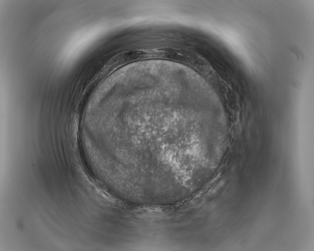 X0000111380194200908071242