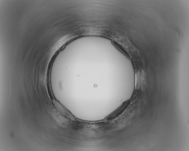 X0000111380195200908071242