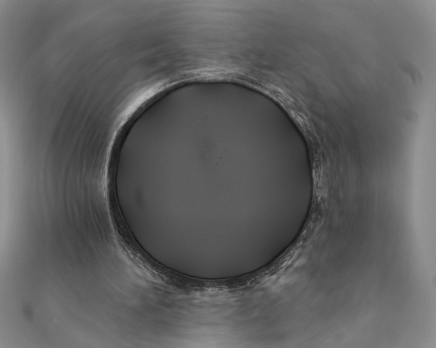 X0000111380196200908071242