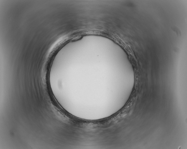 X0000111380197200908071242