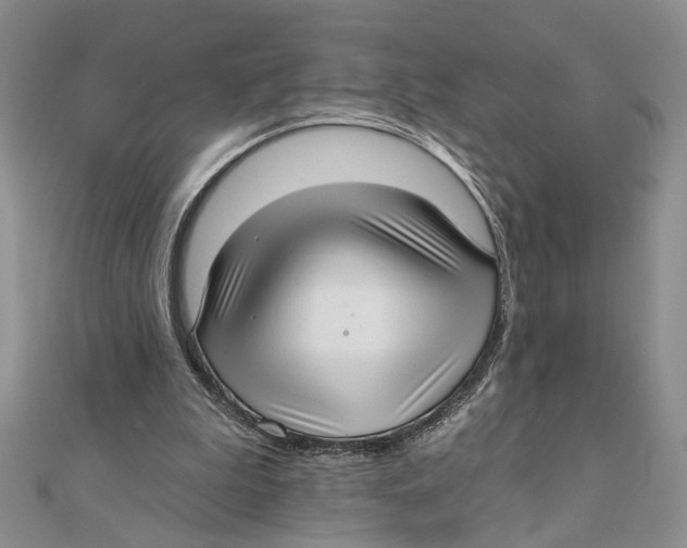 X0000111380199200908071242