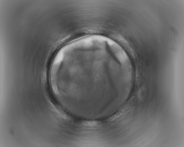 X0000111380202200908071242