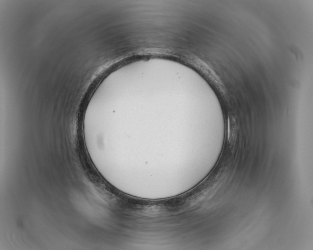 X0000111380204200908071241