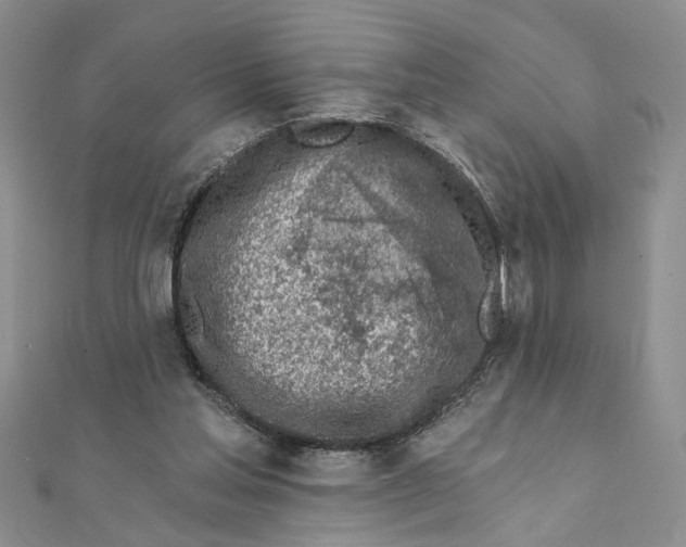 X0000111380205200908071241