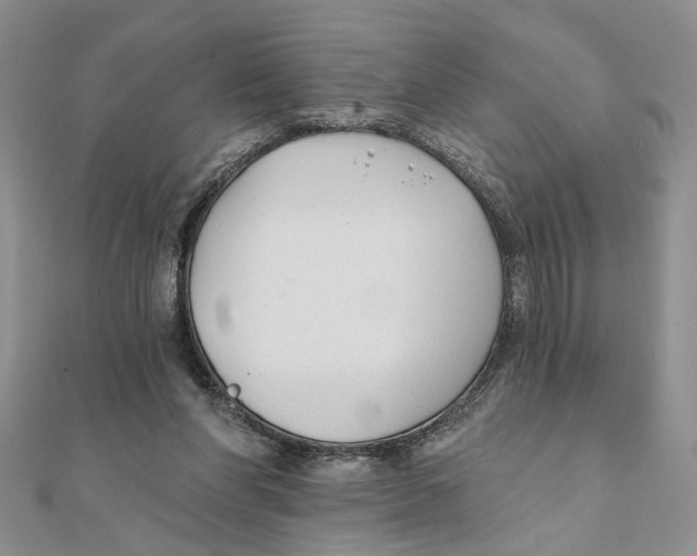 X0000111380206200908071241