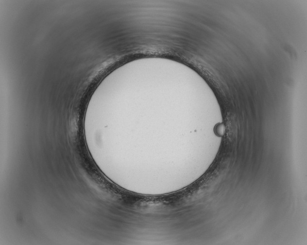 X0000111380208200908071241