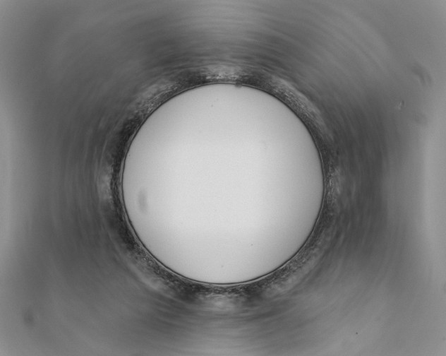 X0000111380209200908071241