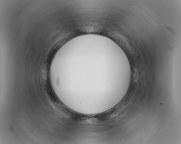 X0000111380210200908071241