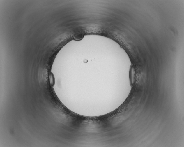 X0000111380211200908071241