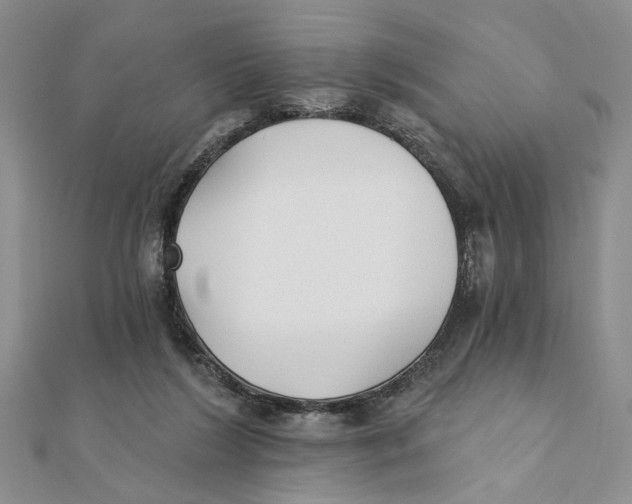 X0000111380212200908071241