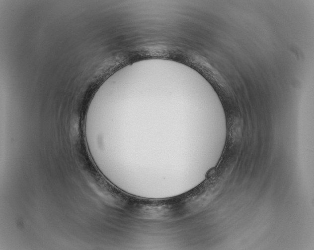 X0000111380213200908071241