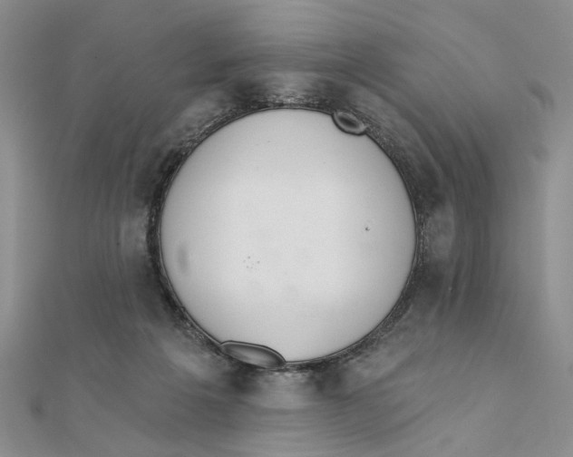 X0000111380217200908071241