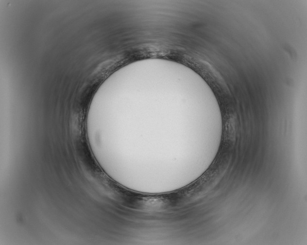 X0000111380218200908071241