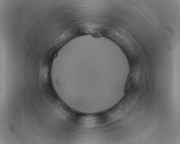 X0000111380219200908071241