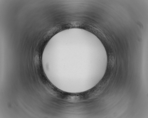 X0000111380220200908071241