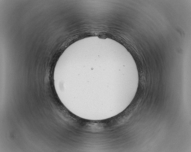 X0000111380221200908071241