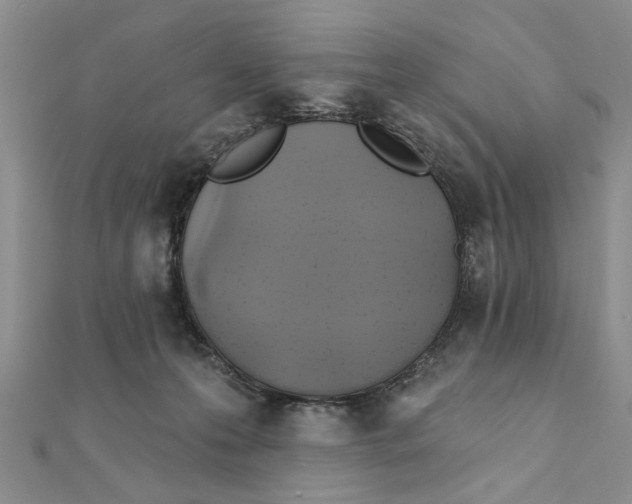 X0000111380223200908071241