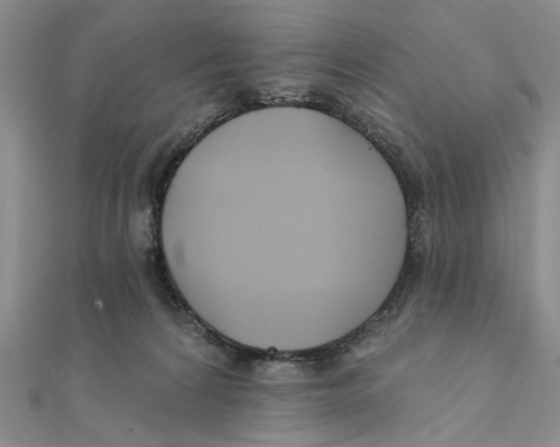 X0000111380224200908071241