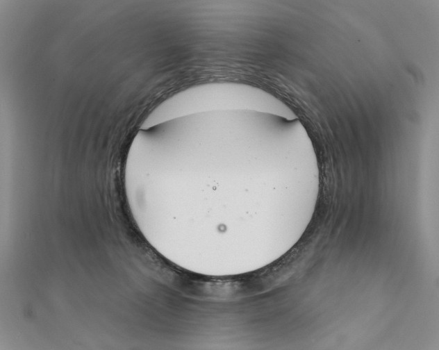 X0000111380225200908071241