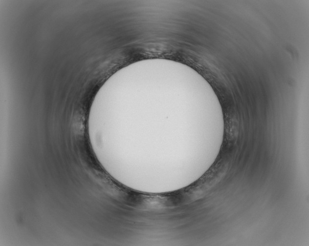 X0000111380226200908071241