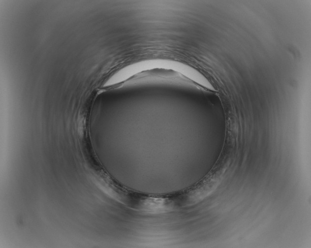 X0000111380227200908071241