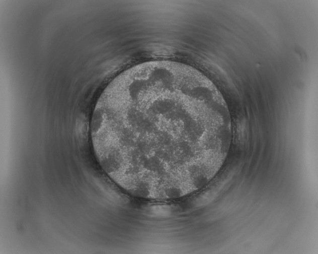 X0000111380228200908071241