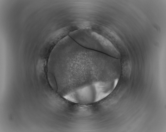 X0000111380229200908071241