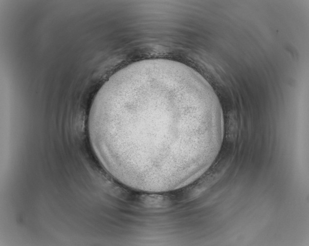 X0000111380230200908071241