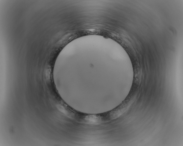 X0000111380231200908071241